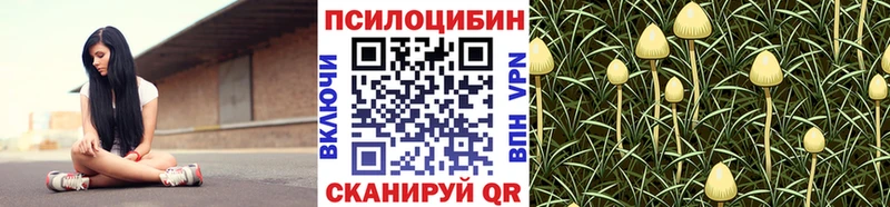 Галлюциногенные грибы Cubensis Белоозёрский